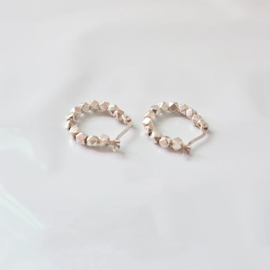 S925 Sterling Silver Earrings